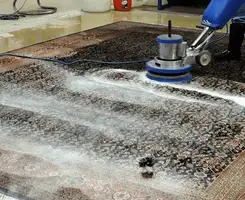 Professional rug cleaning with a rotary floor machine and shampoo foam, deep-cleaning an area rug, in Lakeland, FL.