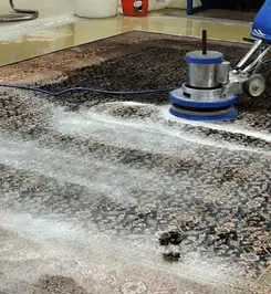 Professional rug cleaning with a rotary floor machine and shampoo foam, deep-cleaning an area rug Lakeland, FL.
